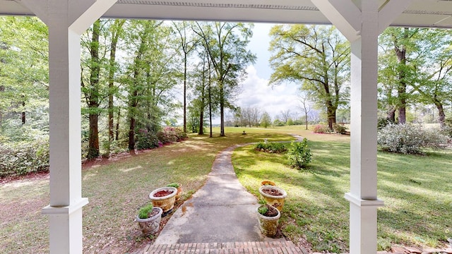 1109 Sanitary Dairy Rd, Cowarts, AL 36321 - view of yard