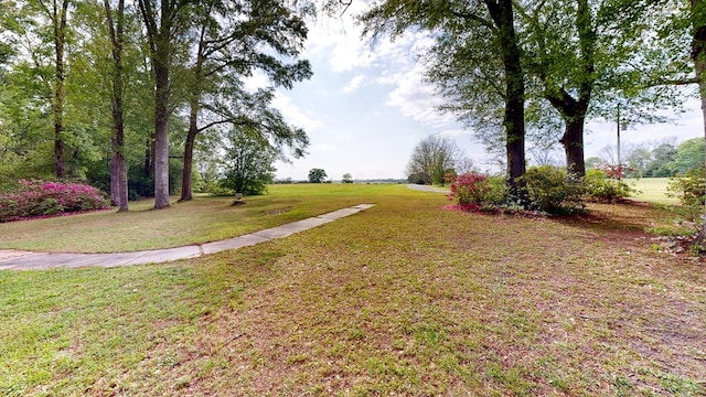 1109 Sanitary Dairy Rd, Cowarts, AL 36321 - view of yard