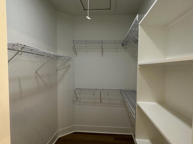 walk in closet with hardwood / wood-style flooring