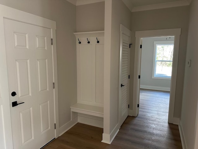 mudroom with ornamental molding and dark hardwood / wood-style flooring