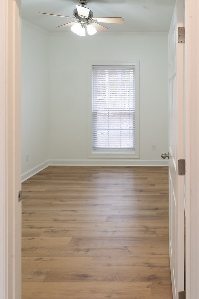 unfurnished room with crown molding, ceiling fan, and light wood-type flooring