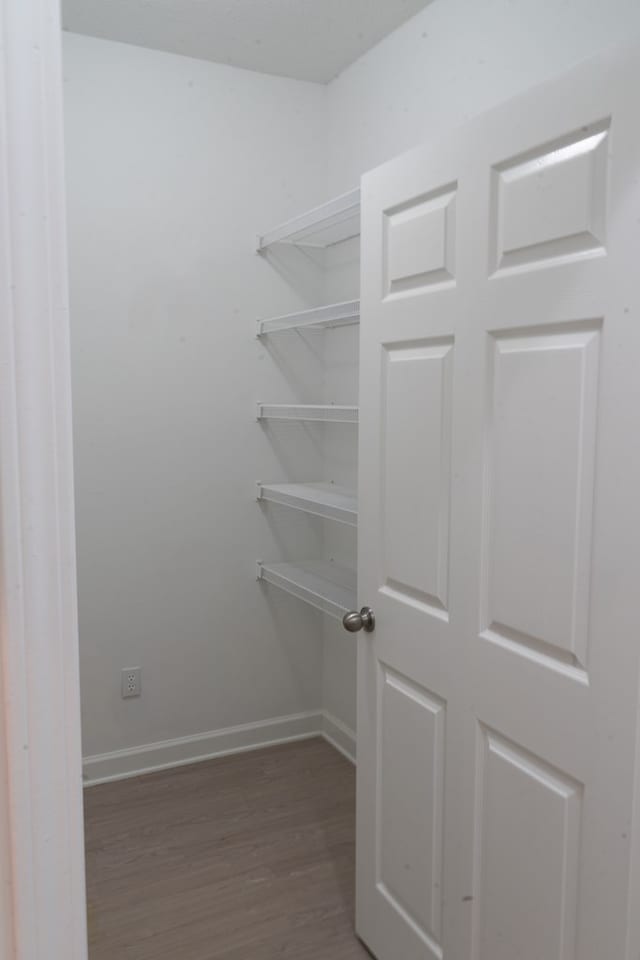 spacious closet featuring dark hardwood / wood-style floors