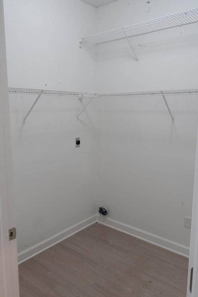 laundry area with electric dryer hookup and wood-type flooring