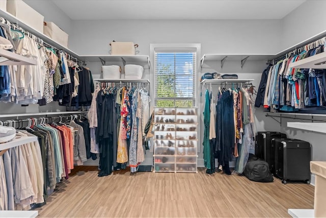 spacious closet with light hardwood / wood-style flooring