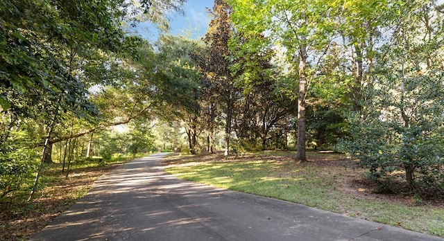 view of road