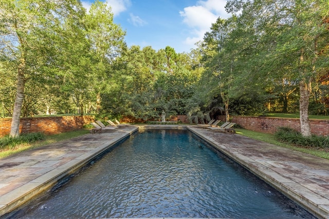 view of swimming pool featuring a patio area