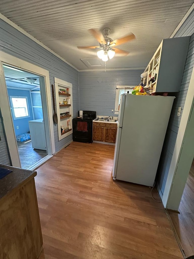 kitchen with ceiling fan, hardwood / wood-style floors, sink, and white refrigerator