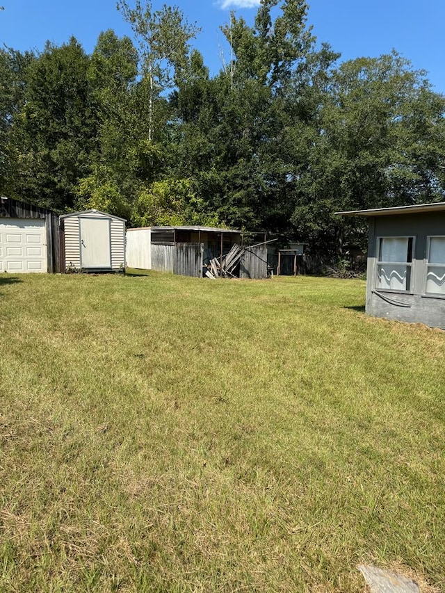 view of yard featuring a shed