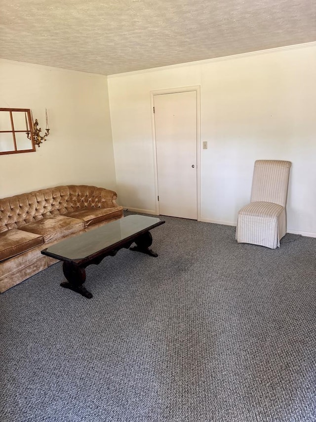 living area featuring carpet floors and a textured ceiling