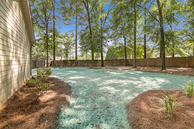 101 Mill Ridge Rd, Dothan, AL 36303 - photo 37