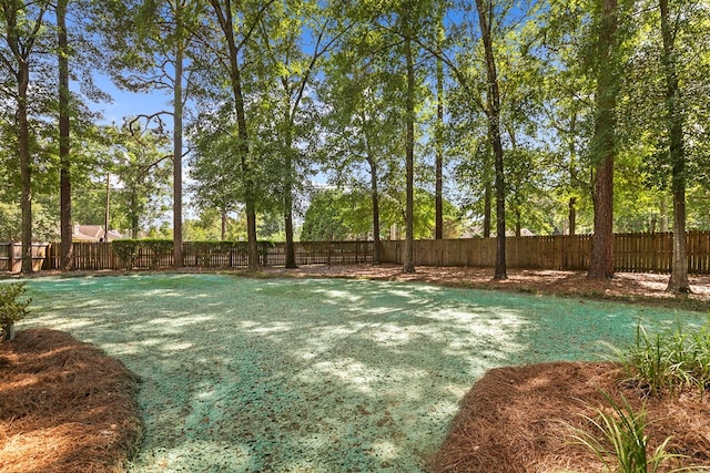 101 Mill Ridge Rd, Dothan, AL 36303 - photo 46