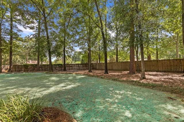101 Mill Ridge Rd, Dothan, AL 36303 - photo 47