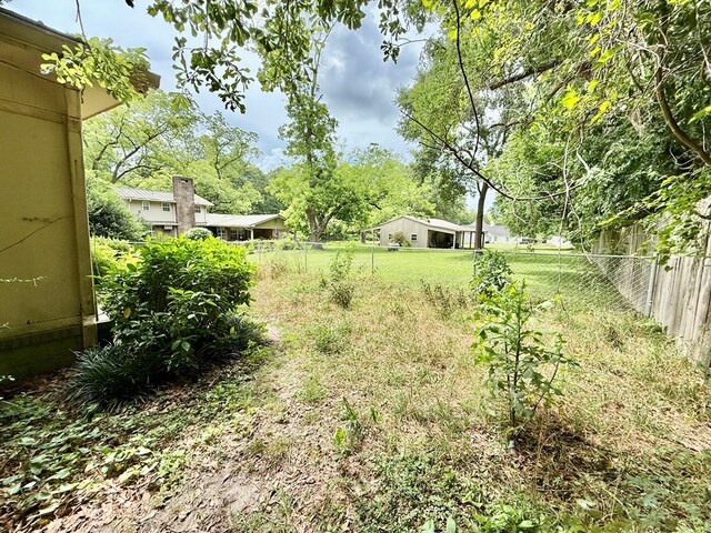 152 W Cox St, Slocomb, AL 36375 - view of yard