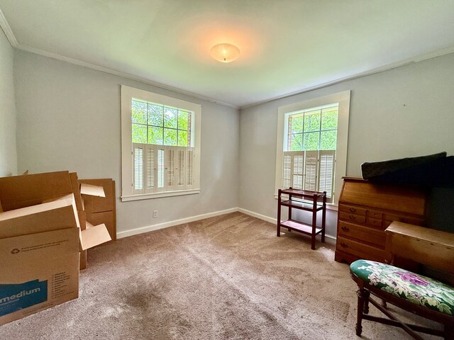 152 W Cox St, Slocomb, AL 36375 - living area with ornamental molding, plenty of natural light, carpet, and baseboards