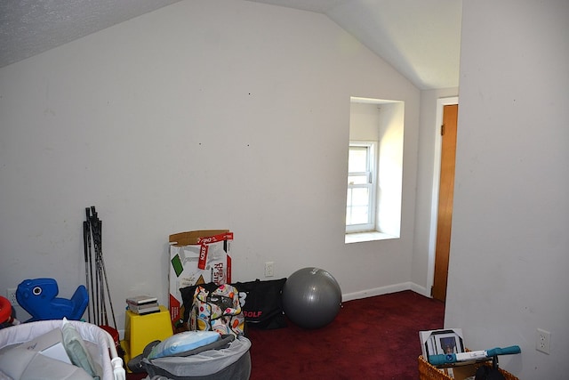 interior space with vaulted ceiling and carpet floors