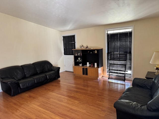 living room featuring wood-type flooring