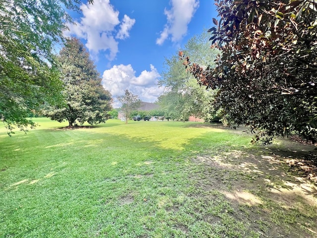 10 Middlefield Ln, Dothan, AL 36301 - photo 13
