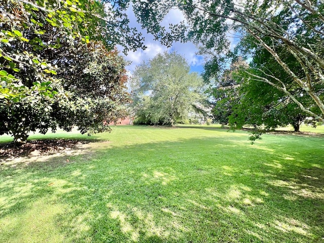 10 Middlefield Ln, Dothan, AL 36301 - photo 14