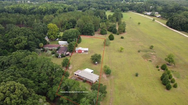 809 Leddon Rd, Samson, AL 36344 - photo 3