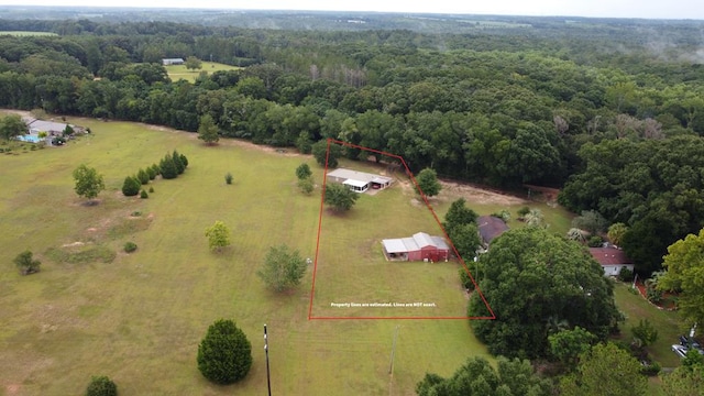 809 Leddon Rd, Samson, AL 36344 - photo 36