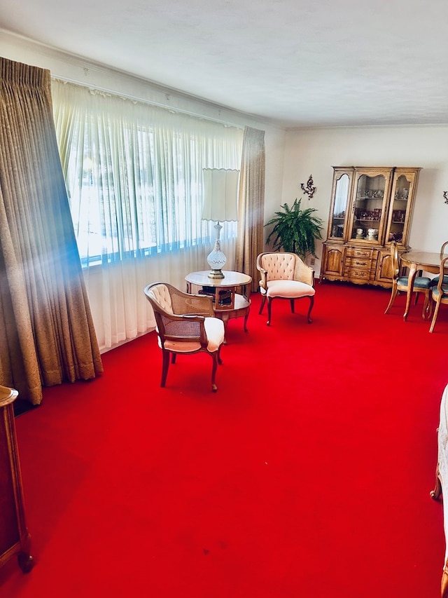 living area with carpet flooring
