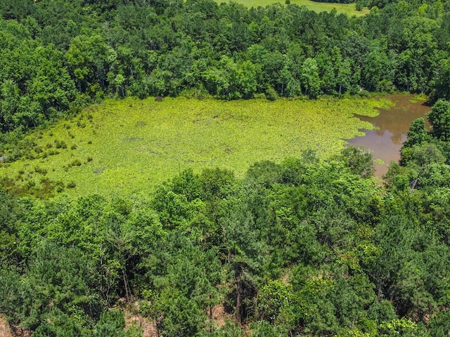 60AC J L Hogan Rd, Coffee Springs, AL 36318