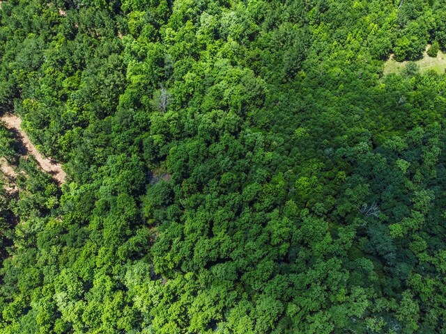 60AC J L Hogan Rd, Coffee Springs, AL 36318