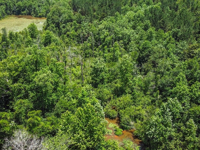 60AC J L Hogan Rd, Coffee Springs, AL 36318