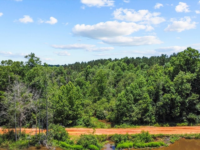 60AC J L Hogan Rd, Coffee Springs, AL 36318