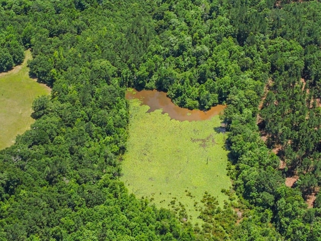 60AC J L Hogan Rd, Coffee Springs, AL 36318