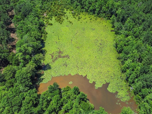 60AC J L Hogan Rd, Coffee Springs, AL 36318