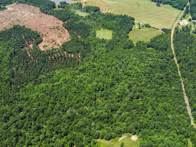 60AC J L Hogan Rd, Coffee Springs, AL 36318