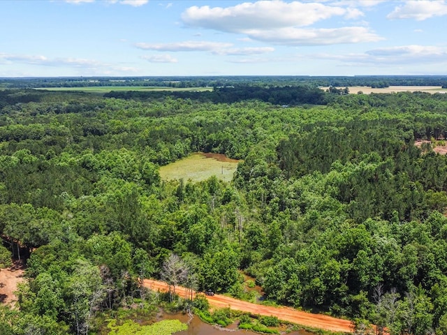 60AC J L Hogan Rd, Coffee Springs, AL 36318