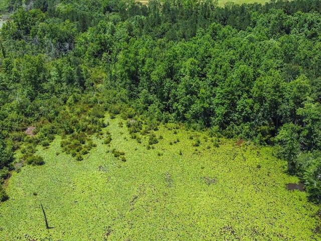 60AC J L Hogan Rd, Coffee Springs, AL 36318
