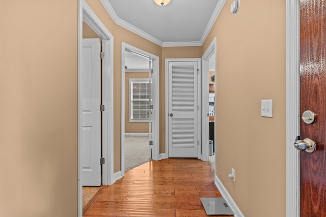 116 Belvedere Ln, Enterprise, AL 36330 - photo 4