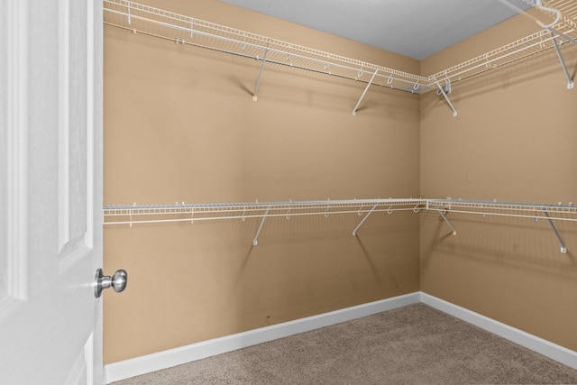 116 Belvedere Ln, Enterprise, AL 36330 - photo 21