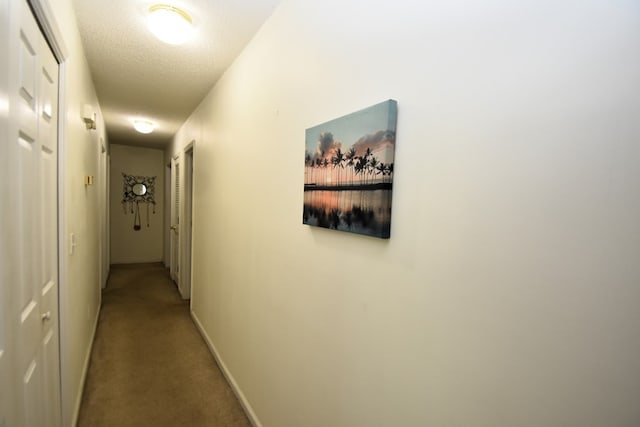 2023 Brackin Dr, Dothan, AL 36301 - hall with light colored carpet, a textured ceiling, and baseboards