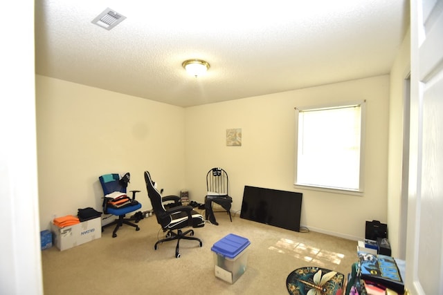 2023 Brackin Dr, Dothan, AL 36301 - miscellaneous room featuring carpet flooring and a textured ceiling