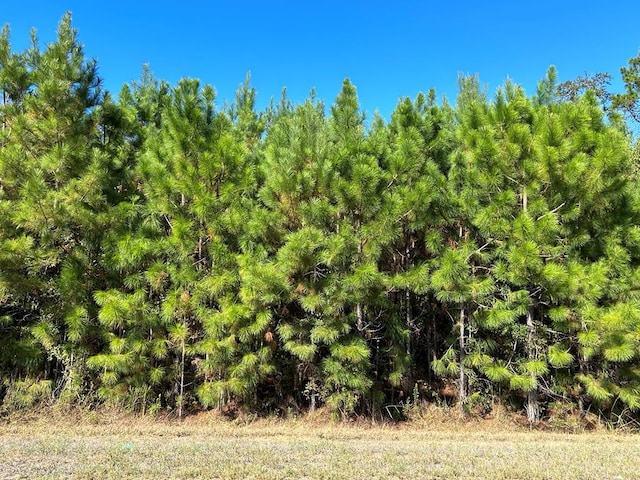 4.588-AC D Hodge Rd, Cottonwood AL, 36320 land for sale