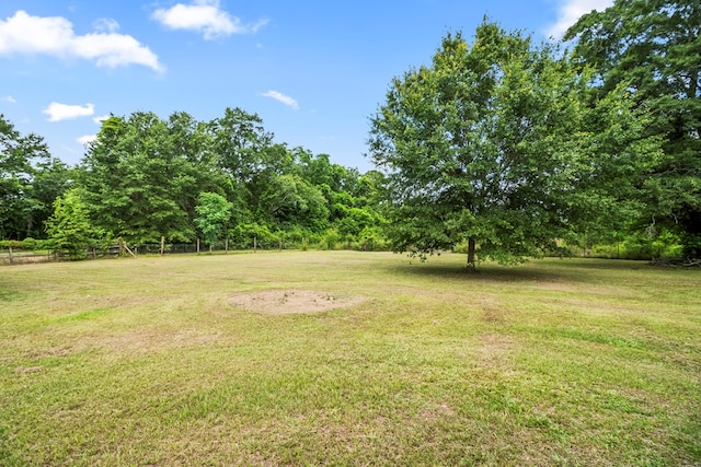 5606 Rocky Creek Rd, Ashford, AL 36312 - view of green lawn