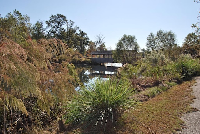 property view of water