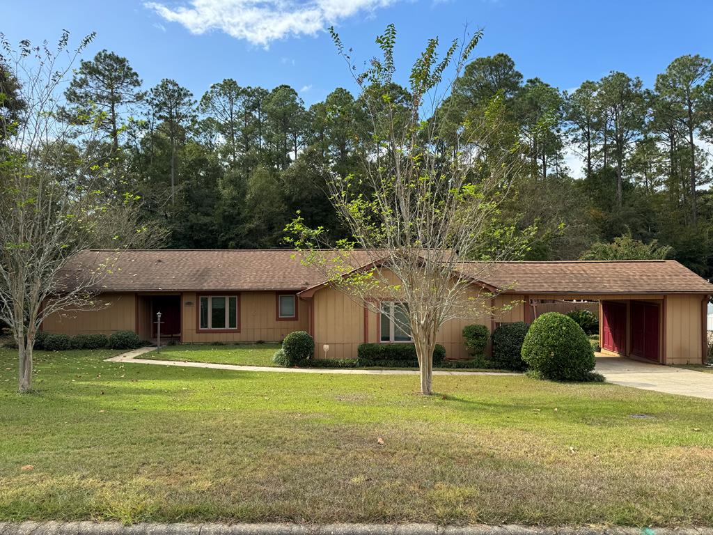 ranch-style home featuring a front lawn and a carport