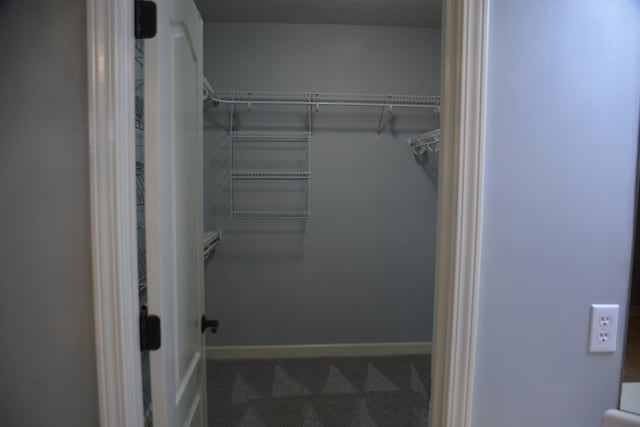 walk in closet featuring carpet floors