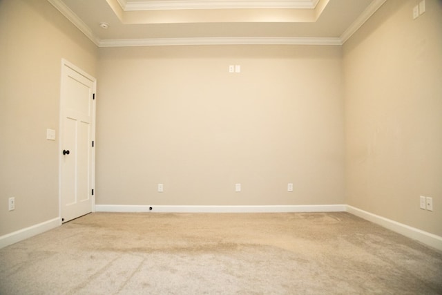 unfurnished room with a raised ceiling and carpet floors