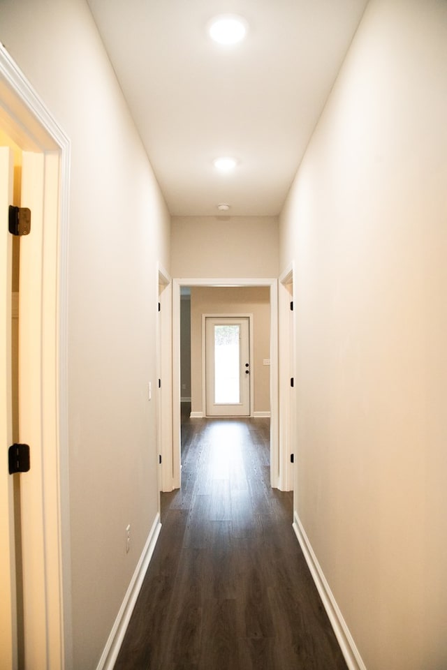 hallway featuring dark hardwood / wood-style flooring