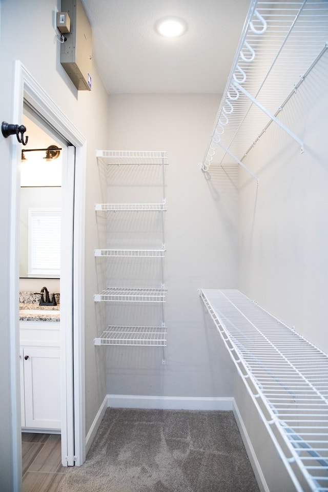 walk in closet with sink and carpet floors