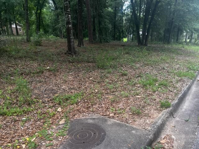 3801 Old Mill Run, Dothan, AL 36303 - photo 4