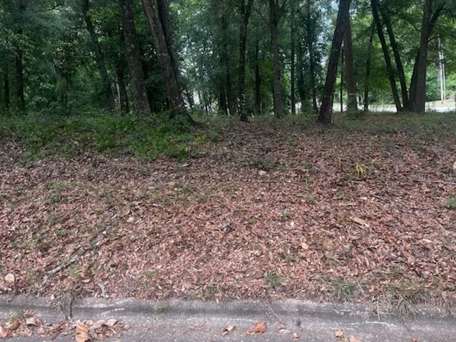 3801 Old Mill Run, Dothan AL, 36303 land for sale