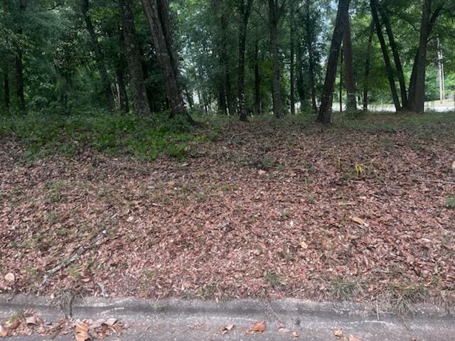 3801 Old Mill Run, Dothan, AL 36303 - photo 1