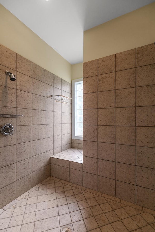 109 Royal Highlands Ln, Dothan, AL 36305 - full bathroom featuring a tile shower